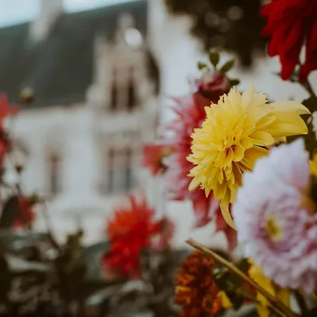 Chateau De 3* Crazannes