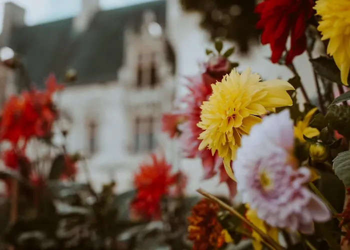 Chateau De 3* Crazannes