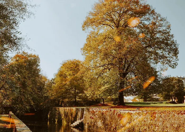 Bed and breakfast Chateau De